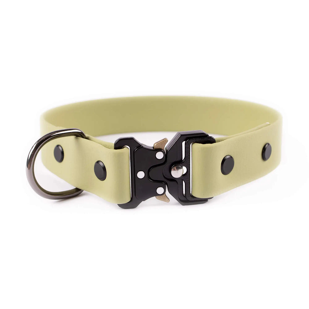Biothane® Hundehalsbänder 25 mm breite – Maßanfertigung mit Cobra-Schnalle