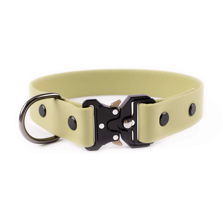 Biothane® Hundehalsbänder 25 mm breite – Maßanfertigung mit Cobra-Schnalle