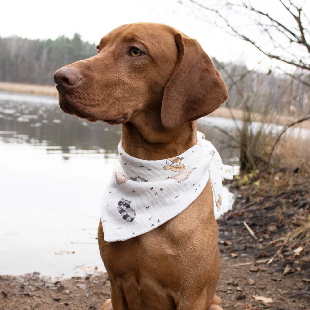 4-Friends Hundehalstuch – Stylisches Halstuch mit niedlichen Tiermotiven