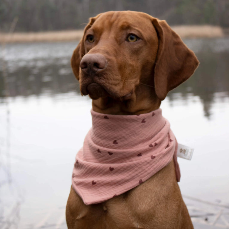 Herzpfote-Rosarot Hundehalstuch – Halstuch mit Herzmuster aus Baumwolle