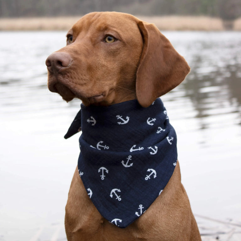 Kapitän Flausch Buddy-Set – 2 Hundehalstücher im maritimen Ankerdesign