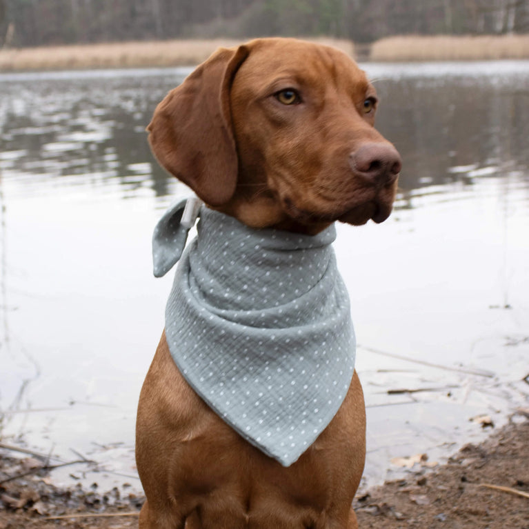 Punktverliebt Hundehalstuch – Stilvolles Halstuch mit Tupfen in Mint