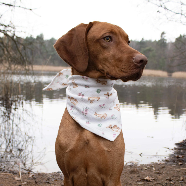 Waldpfoten Halstuch – Stilvolles Hundehalstuch mit Waldtiermotiven
