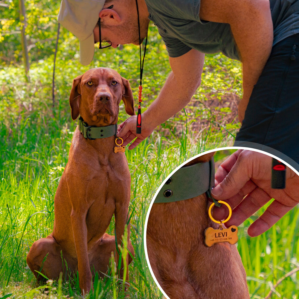Personalisierte Hundemarke Knochen mit Lasergravur 'Silber' (Edelstahl)